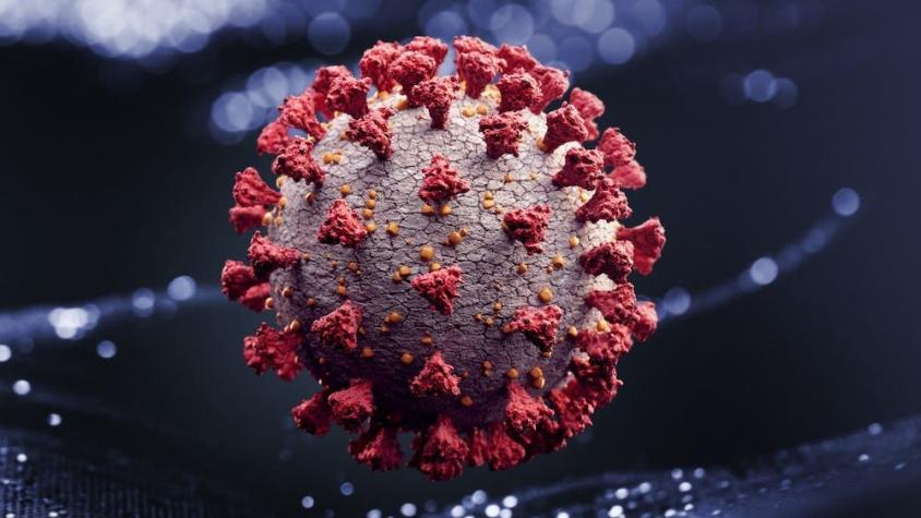 OMS advierte que pandemia del coronavirus será "muy larga"