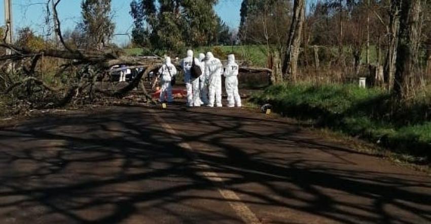 Investigan como homicidio muerte de motociclista que chocó contra árbol que cortaba ruta en Lautaro