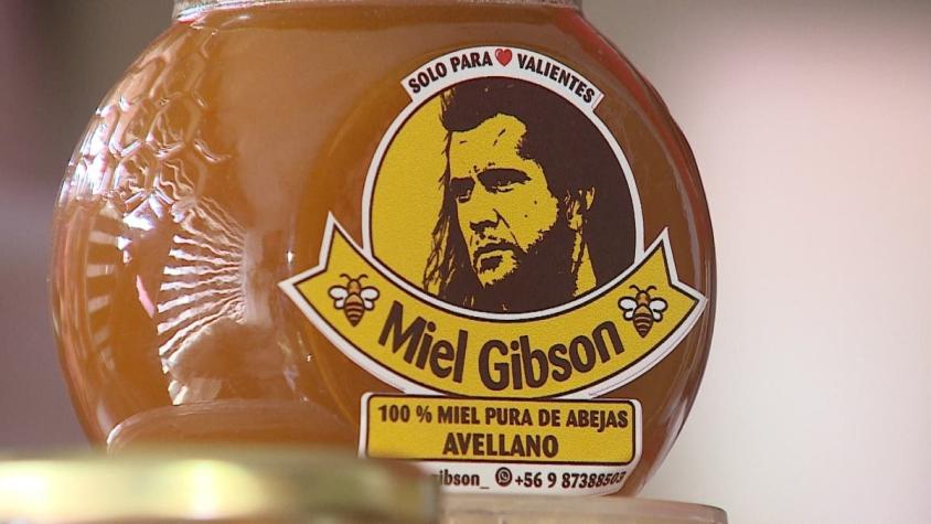 [VIDEO] Chilena podría ser demandada: El dilema entre Mel Gibson vs "Miel Gibson"