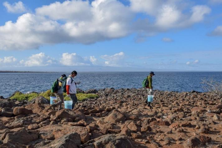Treinta nuevas especies de invertebrados descubiertas en las islas Galápagos