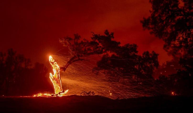 [FOTOS] California arde por focos de incendios forestales en medio de ola de calor