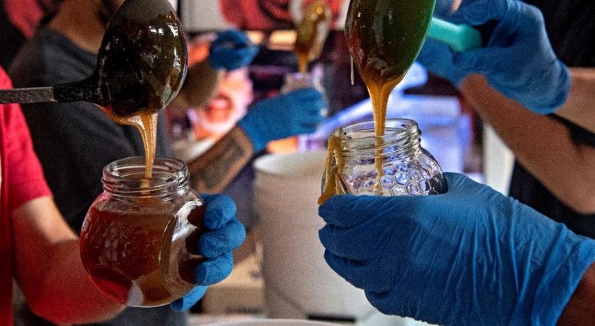 La miel es más efectiva que los antibióticos contra el resfrío, de acuerdo a estudio de U. de Oxford
