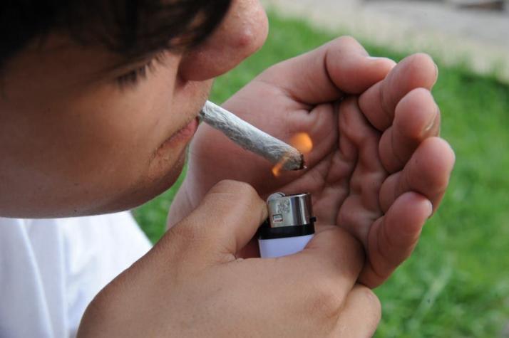 Investigación chilena confirma que consumo "moderado" de marihuana afecta el aprendizaje