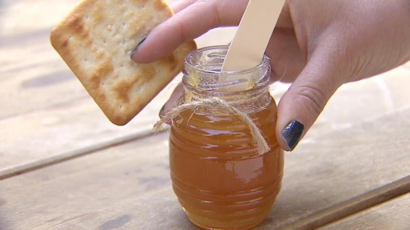 [VIDEO] La miel está de vuelta: U. de Oxford valida sus propiedades beneficiosas