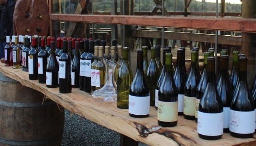 Pipeño de exportación: Pyme familiar logra cruzar la frontera con el popular vino