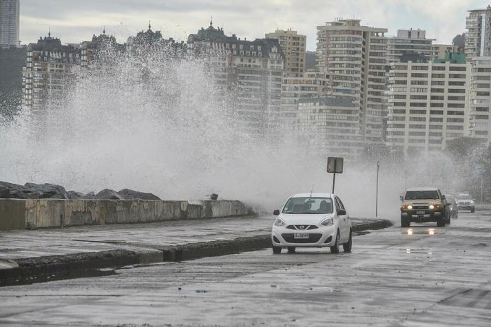 Fuertes vientos y marejadas en Valparaiso provocan caída de árboles y voladura de techos