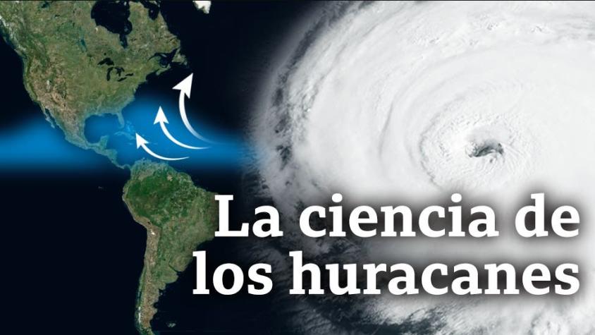 Huracán Laura: ¿cómo se forman los ciclones tropicales?