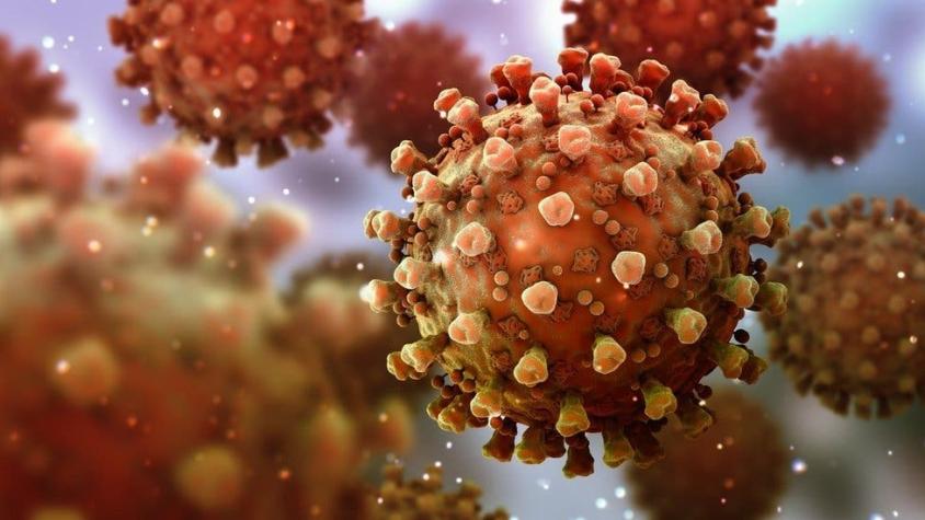 COVID-19: por qué los casos de reinfección de coronavirus no sorprenden a los científicos