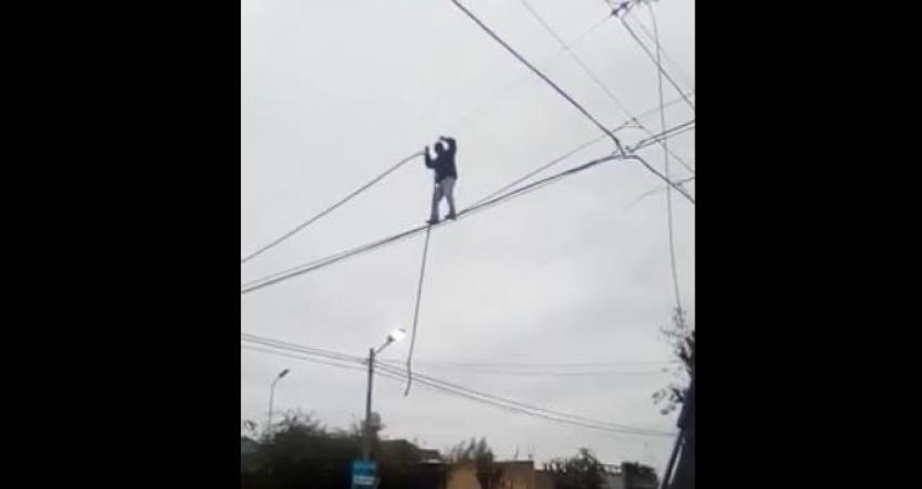 "Ladrón equilibrista": Sorprenden a sujeto que robaba cables de luz a 10 metros de altura