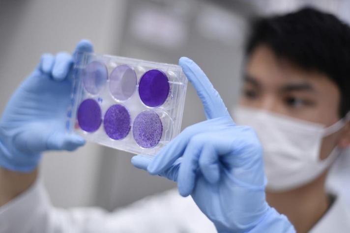 Coronavirus: ¿Por qué es una buena noticia que se suspendan los ensayos de una vacuna?