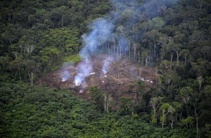 Cerveza brasileña variará su precio de acuerdo a la evolución de la deforestación en la Amazonía
