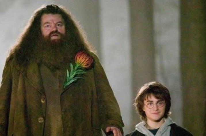 El intérprete de Hagrid en "Harry Potter" defiende a J.K. Rowling tras comentarios transfóbicos