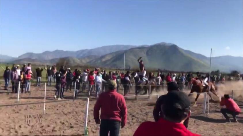 [VIDEO] Apuestas y riesgo sanitario: Detenidos en "carreras a la chilena" y peleas de gallos