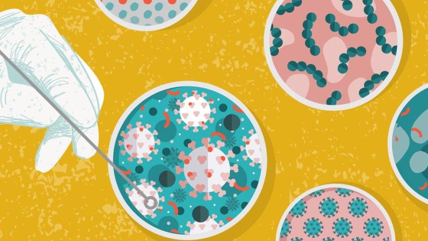 Coronavirus: 7 avances científicos provocados por la investigación sobre la pandemia