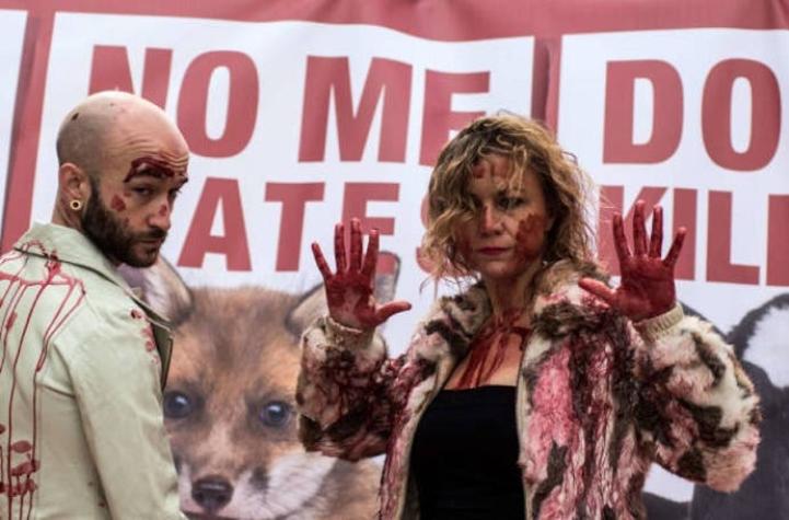 El Parlamento polaco aprueba una ley sobre derechos de los animales