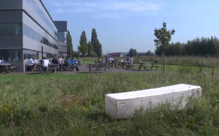 [VIDEO] Fabrican en Holanda un ataúd ecológico a base de hongos