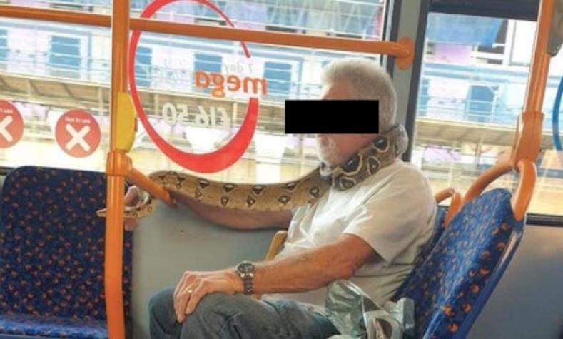 Una serpiente no puede servir de mascarilla, recuerdan las autoridades británicas