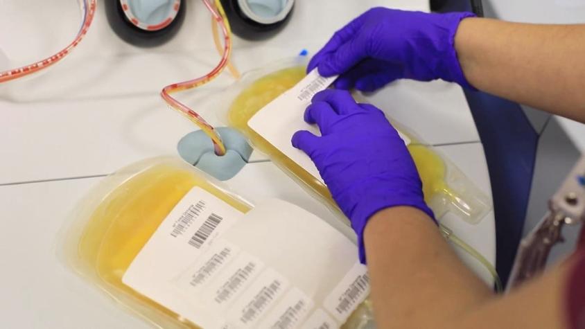 [VIDEO] Plasma convaleciente: el tratamiento usado en el Hospital Barros Luco que salva vidas