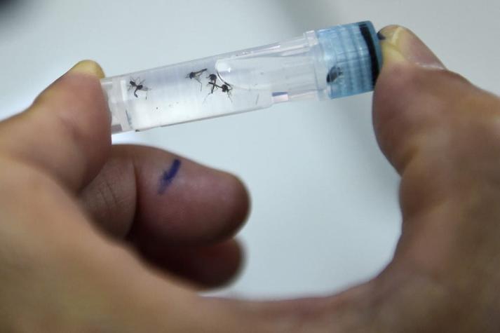 Estudio sugiere que el dengue podría dar cierta inmunidad contra el COVID-19