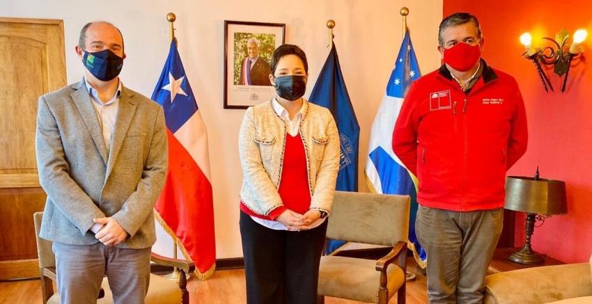 Papaya Gate: Lucía Pinto confirma renuncia a la Intendencia de Coquimbo