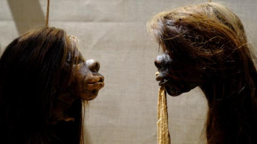La colección de cabezas humanas de tribus de Ecuador y Perú que fue retirada de un museo