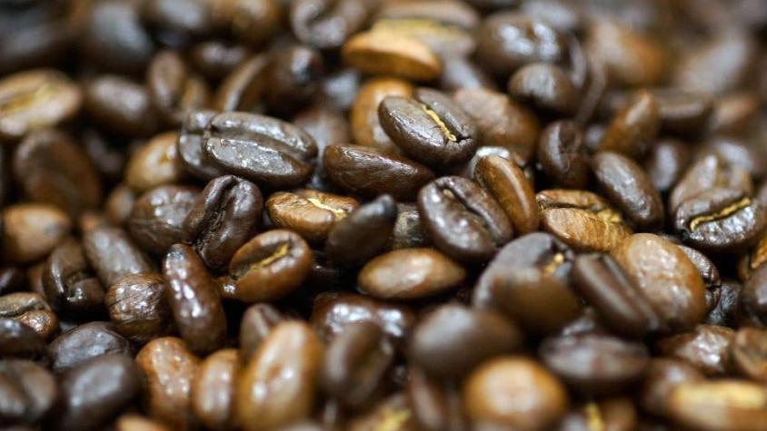 Por qué el precio del grano de café baja si su consumo crece (y qué efectos produce en Colombia)