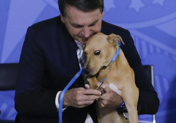 Jair Bolsonaro hizo firmar a un perro al promulgar ley contra el maltrato animal