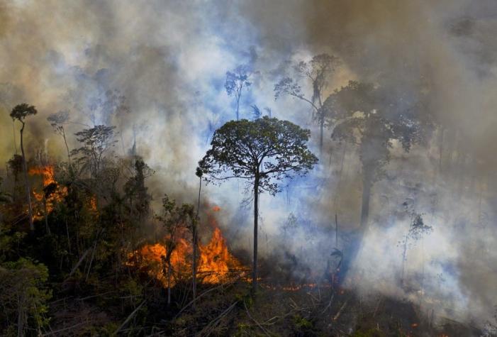 La selva amazónica de Brasil sufre los peores incendios en una década