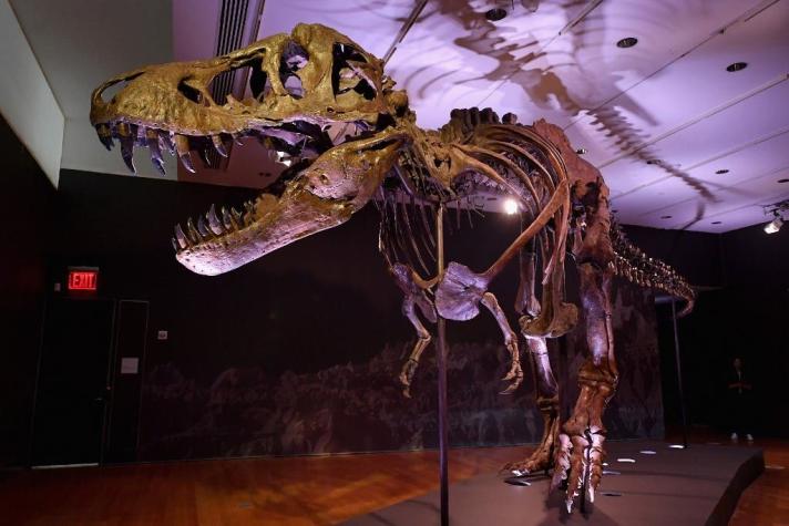 Subasta por T-Rex bate récord en subasta alcanzando los US$31 millones