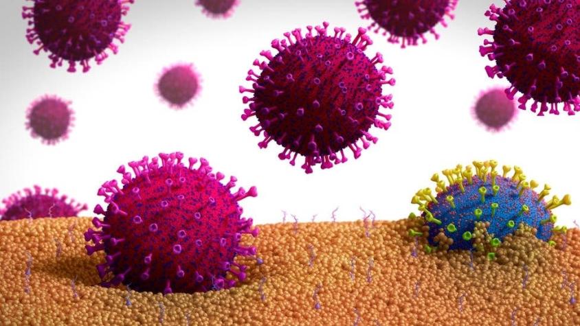 Evolución del coronavirus: qué es la mutagénesis letal y cómo podría ayudar a combatir el COVID-19