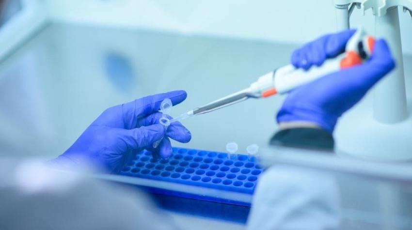 Medicamento antimicrobiano tiene resultados "prometedores" contra el COVID-19 en testeos animales