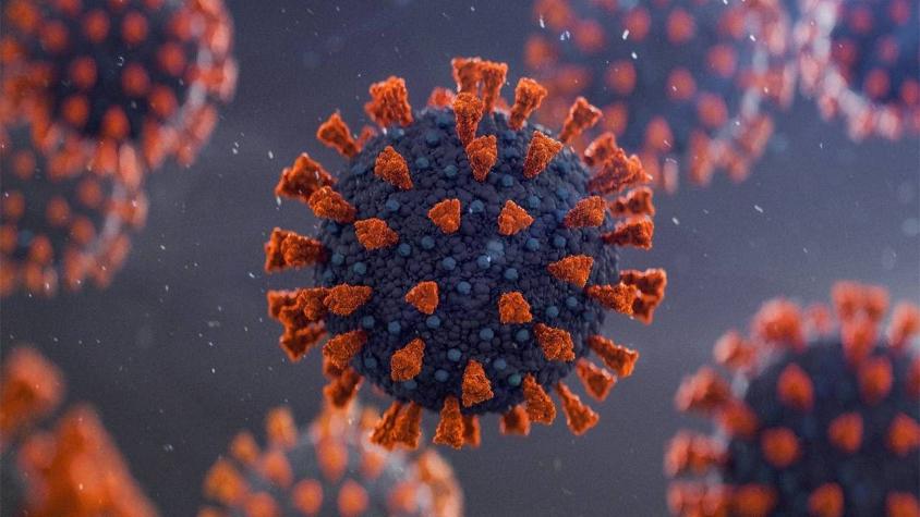 OMS rechaza idea de "dejar circular" el COVID-19 para lograr inmunidad colectiva
