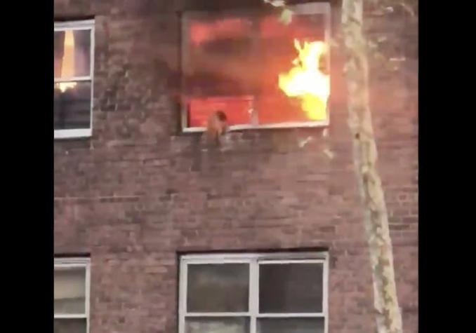 El increíble salto de un gato de un edificio en llamas en Nueva York