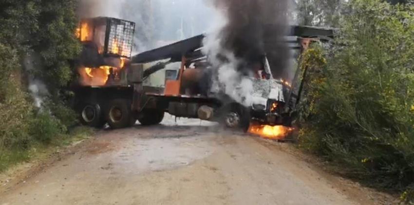 Incendian siete maquinarias de empresa forestal en la comuna de Contulmo