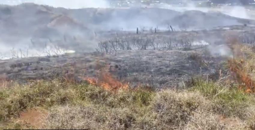Alerta Roja para Isla de Pascua por incendio forestal que afecta al Parque Nacional Rapa Nui