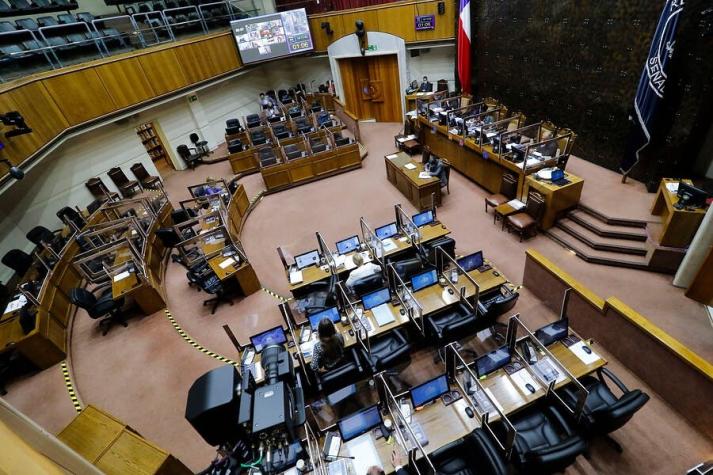 Senado rechaza indicación del gobierno por escaños reservados para pueblos originarios
