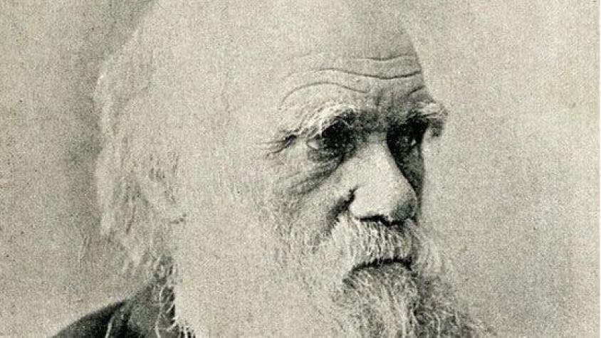 Charles Darwin: la pionera teoría sobre el origen de la vida que el biólogo garabateó en una carta