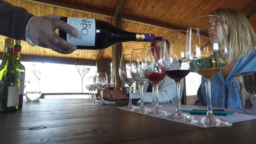 [VIDEO] Se reactiva la ruta del vino en todo el país: Chilenos serán los principales turistas