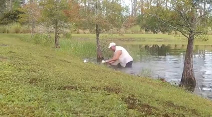 [VIDEO] Un hombre rescata a un perro de las fauces de un caimán