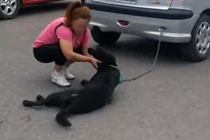 Mujer amarró a su perro a un auto y lo arrastró siete cuadras por la calle en Argentina