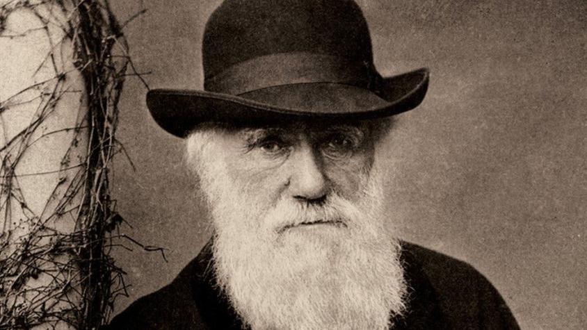 Charles Darwin: la misteriosa desaparición de los cuadernos del biólogo, perdidos desde hace 20 años