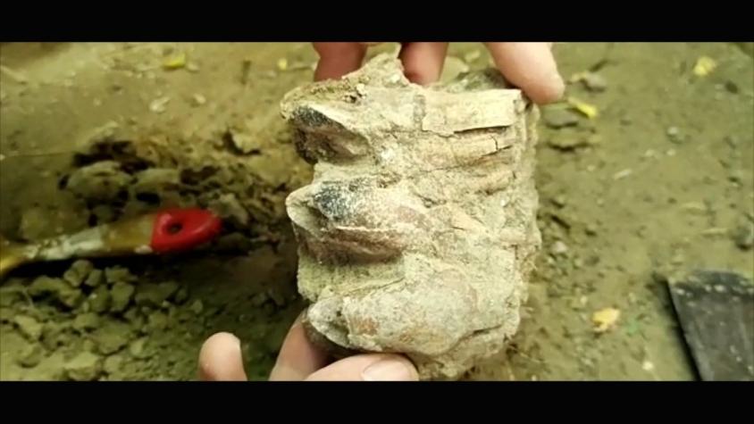 [VIDEO] Importante hallazgo arqueológico: Vida humana desde hace 13 mil años en Chile