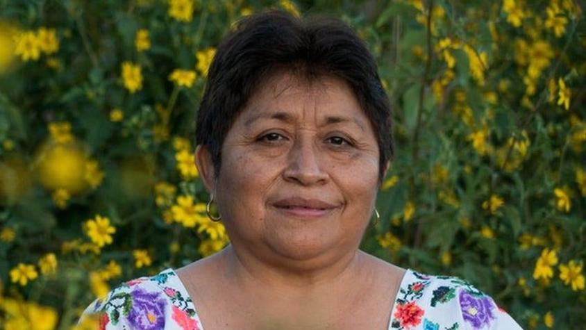 Leydy Pech, la "guardiana de las abejas" que le ganó una batalla a Monsanto en México