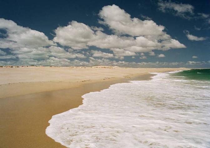 Australia: dos padres mueren ahogados al intentar salvar a sus hijos en una playa