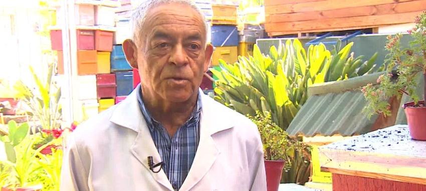 [VIDEO] Ser emprendedor a los 70: La historia del centro de apicultura y apiterapia "Apichávez"