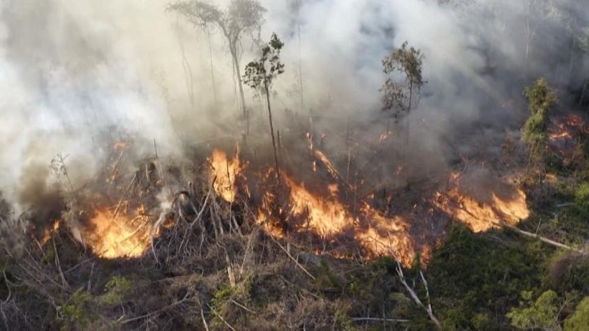 [VIDEO] Amazonía sufre mayor deforestación en 12 años con más de 11 mil kilómetros cuadrados