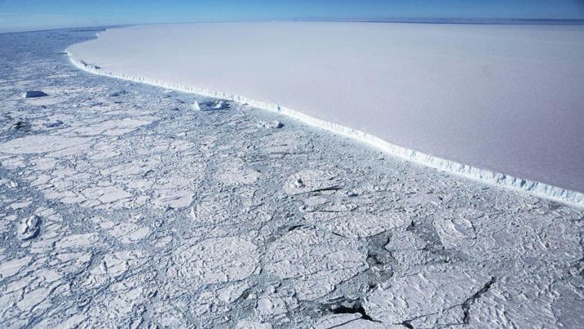 A68a, el iceberg más grande del mundo y y por qué amenaza una de las mayores reservas naturales