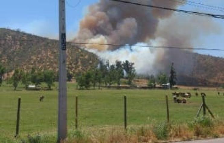 Onemi declara alerta roja en Melipilla y María Pinto por incendio forestal