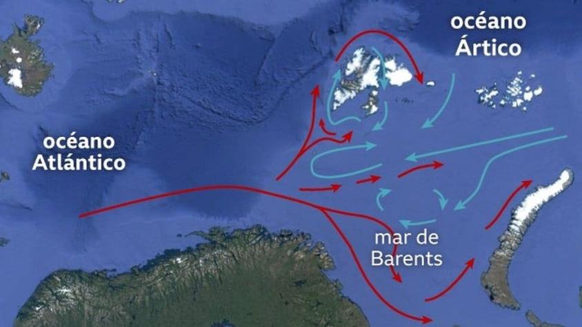 Qué es la "atlantificación" del océano Ártico y por qué preocupa a los científicos