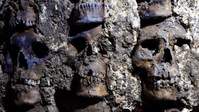 La nueva sección del "altar de cráneos azteca" descubierta por arqueólogos en la Ciudad de México